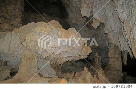 サンゴ礁の鍾乳洞石垣島鍾乳洞 109781004