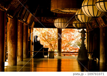 奈良 真言宗豊山派総本山大和国長谷寺 本堂の紅葉 奈良 真言宗豊山派総本山大和国長谷寺 本堂の紅葉 109781071