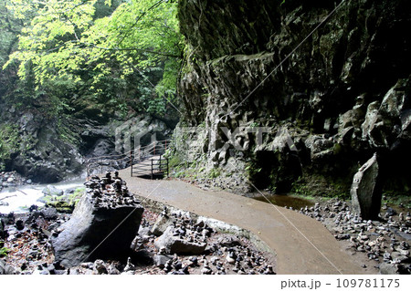 天岩戸神社・岩戸川（宮崎県・高千穂町） 109781175