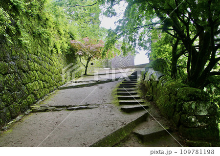 岡城跡・大手上り口（大分県・竹田市） 109781198