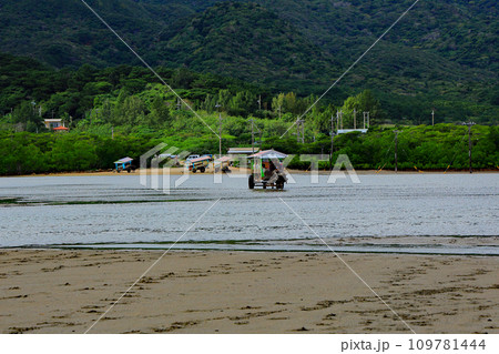 八重山諸島由布島水牛車 八重山諸島由布島水牛車 109781444
