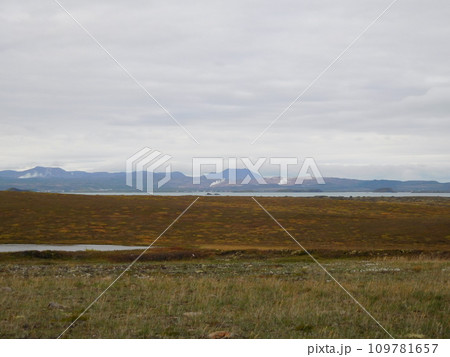 アイスランド 夏 ミーバトゥン アイスランド 夏 ミーバトゥン 109781657