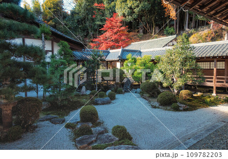 滋賀県大津市の西教寺の大本坊庭園 109782203