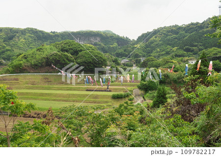 鹿児島県大隅町瀬戸山地区の鯉のぼり 109782217