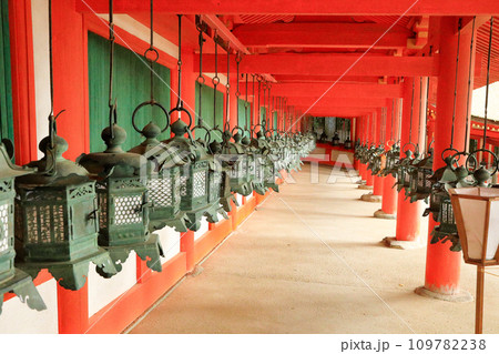 世界遺産　春日大社（大宮）東回廊の美しい釣灯籠 109782238