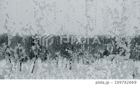 Winter snow-covered window close-up in cloudy weather. 109782669