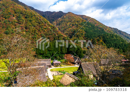 紅葉に包まれた五箇山 合掌造り集落 紅葉に包まれた五箇山 合掌造り集落 109783318