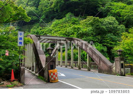 神奈川箱根_国道1号線にかかる千歳橋の風景 109783803