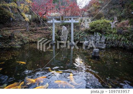 昇仙峡ロープウェイ駅構内　黄金池　パワースポット 109783957