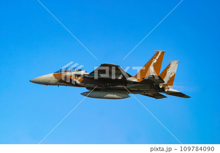 飛行展示中の航空自衛隊 F-15DJ 109784090