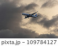 夕暮れの空をゆく飛行機 109784127