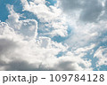 入道雲が広がる夏の空 109784128
