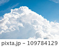 そびえたつ入道雲 109784129