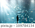 四国水族館の巨大水槽 109784134