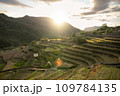 田舎の棚田と夕焼け 109784135