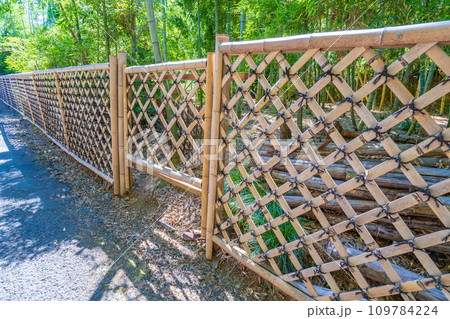 京都府向日市 竹の径 竹垣 京都府向日市 竹の径 竹垣 109784224
