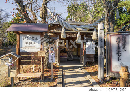 昇仙峡ロープウェイ山頂からの眺望 昇仙峡ロープウェイ山頂からの眺望 109784293