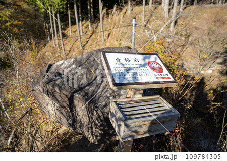昇仙峡ロープウェイ山頂からの眺望 109784305