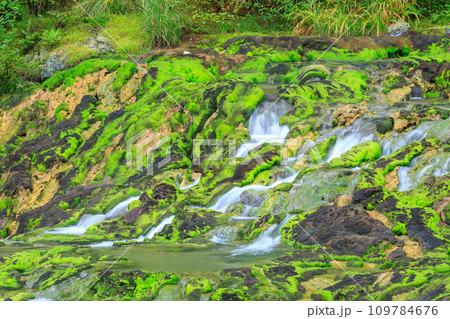 群馬_チャツボミゴケ公園の風景 109784676