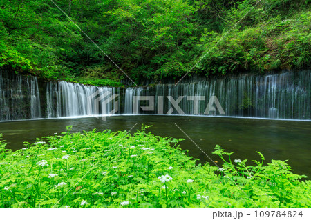 群馬_白糸の滝の風景 109784824