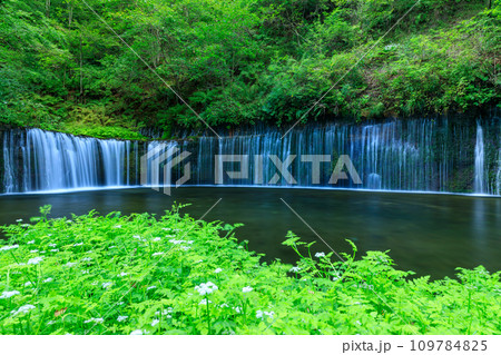 群馬_白糸の滝の風景 109784825