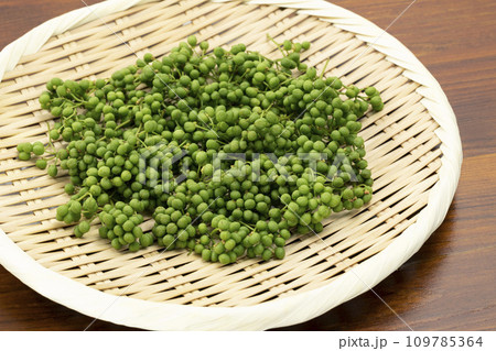 盆ざるに乗せた実さんしょう 109785364