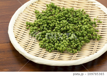 盆ざるに乗せた実さんしょう 109785365