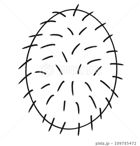 Cartoon clip art fruit rambutan line PNG 109785472