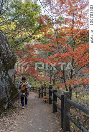 昇仙峡の遊歩道を歩いてみました 109785682