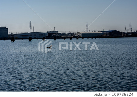 駿河湾　青い海と空 109786224