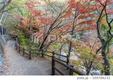 昇仙峡の遊歩道を歩いてみました 昇仙峡の遊歩道を歩いてみました 109786232