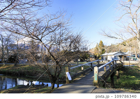 忍野八海から望む富士山 忍野八海から望む富士山 109786340