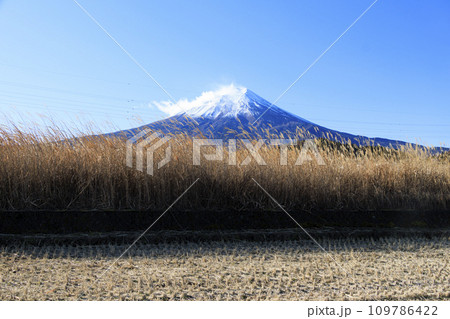 稲刈り後の田んぼから望む、冬の富士山 109786422