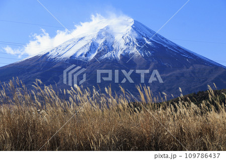 稲刈り後の田んぼから望む、冬の富士山 稲刈り後の田んぼから望む、冬の富士山 109786437