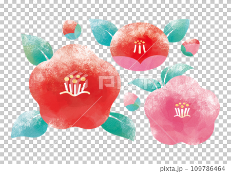 Snowy camellia drawn on Japanese paper Snowy camellia drawn on Japanese paper 109786464