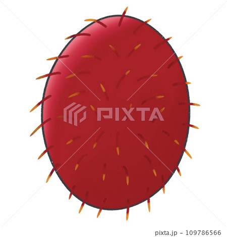 Cartoon clip art fruit rambutan with leaves PNG 109786566