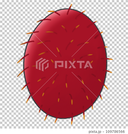Cartoon clip art fruit rambutan with leaves PNG 109786566
