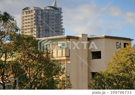都営住宅団地(江東区辰巳) 都営住宅団地(江東区辰巳) 109786733