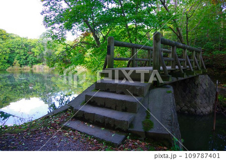 北海道 大沼公園 石楠花橋 北海道 大沼公園 石楠花橋 109787401
