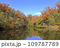 紅葉した蔦沼 109787789