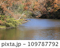 紅葉のある風景 109787792