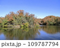 紅葉した木々 109787794