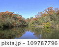 紅葉した木々と青空 109787796