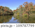池に映る紅葉 109787799
