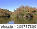 紅葉した木々と青空 109787800