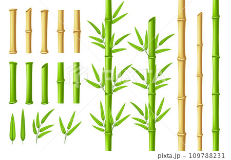 Bamboo stems and leaves. Zen garden verdant bamboo stick with 3D green leaf isolated vector illustration set 109788231