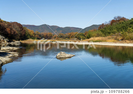 紅葉真っ盛りの長瀞岩畳と長瀞ライン下りの風景 109788266