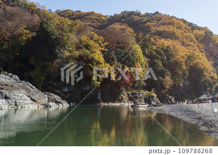紅葉真っ盛りの長瀞岩畳と長瀞ライン下りの風景 109788268