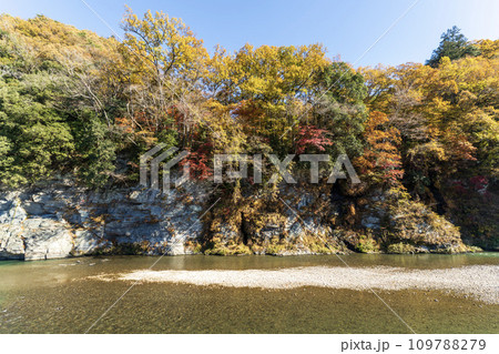 紅葉真っ盛りの長瀞岩畳と長瀞ライン下りの風景 109788279