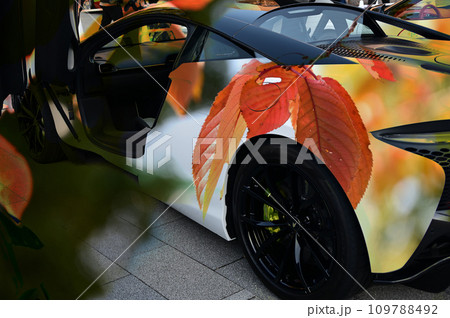 スーパーカーと紅葉 スーパーカーと紅葉 109788492